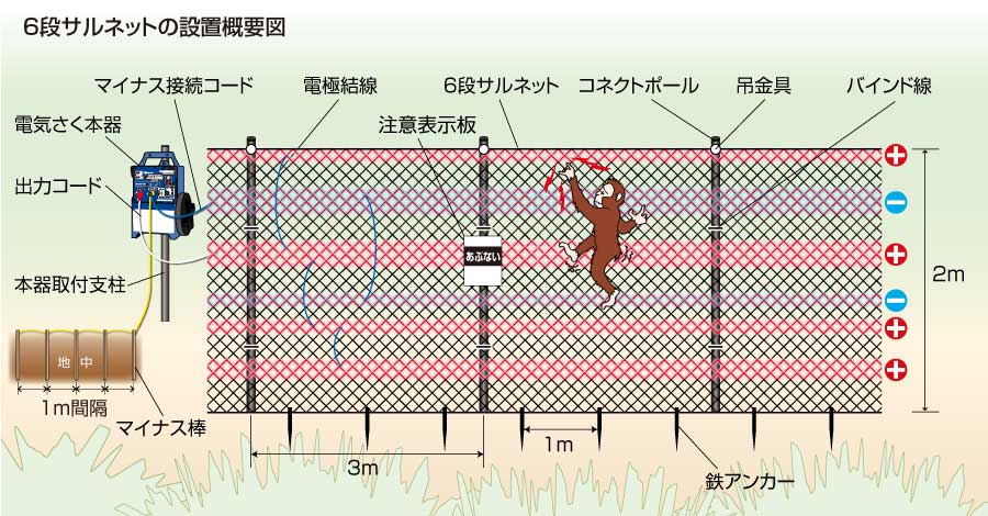 サル6段ネット概要図