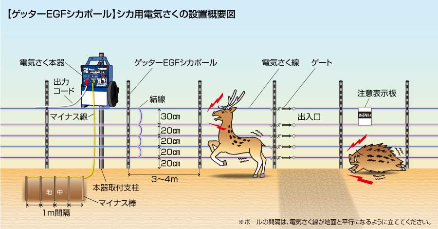 シカEGFポール概要図