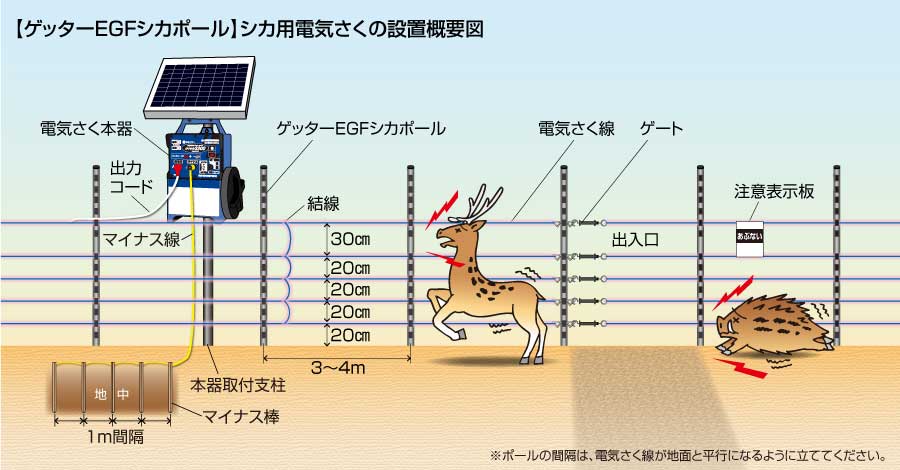シカEGFポール概要図